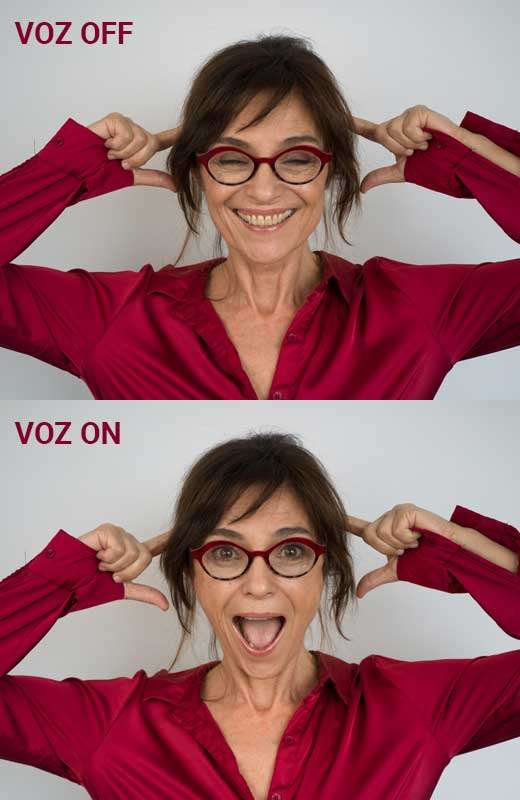 voz_on_off